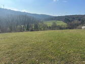 Weitblick - 