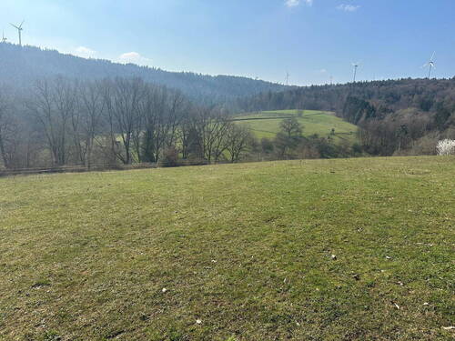 Weitblick - 