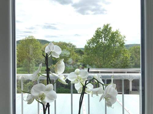 Weitblick - 