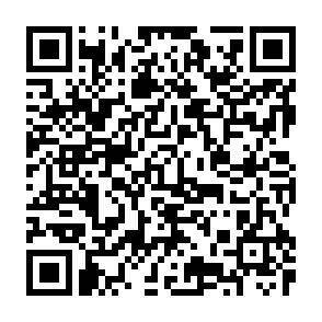 QR-Code - 