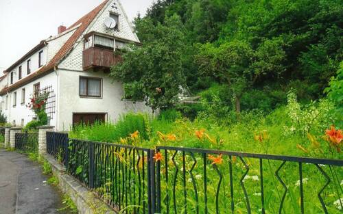 Seitenansicht mit Garten - 