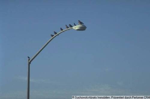 j0145600 - Halle in Lübben