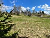 Fernblick - 