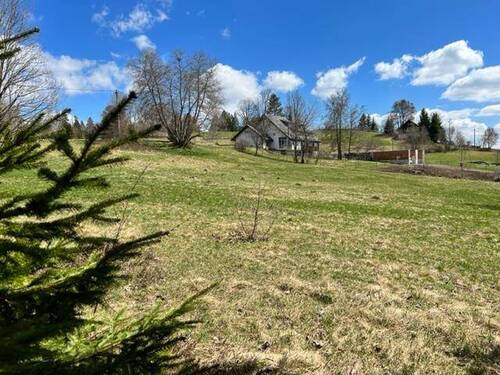 Fernblick - 