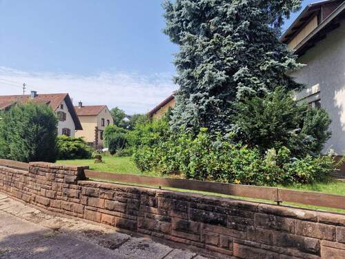 20250814_133556.jpg - 