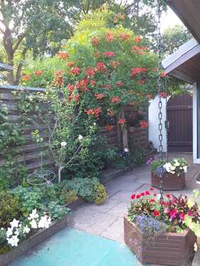 Sommerbilder - Mehrfamilienhaus, Wohnhaus mit 14,60 m&sup2; in Bremen zum Kaufen