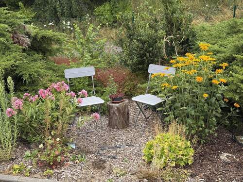 traumhafter Garten - 