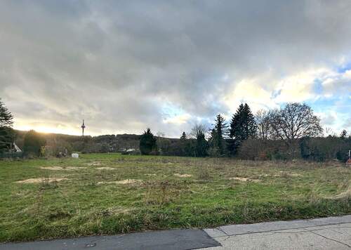 tolles und großes Baugrundstück - 
