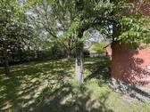 Blick zum alten Birnbaum - 