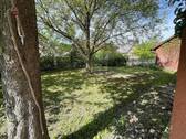 Nordgarten mit Walnussbaum - 