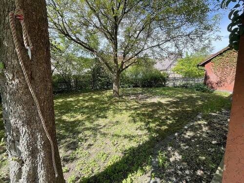Nordgarten mit Walnussbaum - 