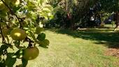 Bild 10 - 