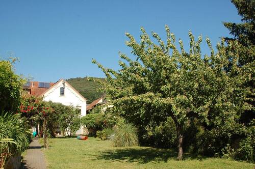 Gartenanlage - 