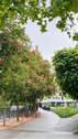 Promenade an der Enz - 