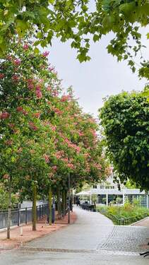 Promenade an der Enz - 