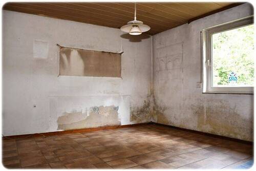 Bild7 - 