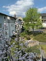Ausblick - 