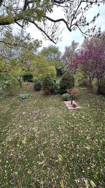 Garten - Einfamilienhaus mit 108,00 m&sup2; in Ahrenshoop zum Kaufen