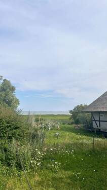 Blick zum Bodden - 