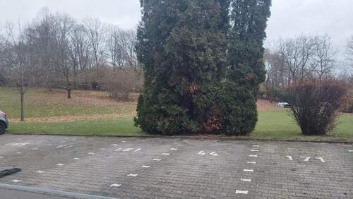 Bild 2 - 2 Zimmer Etagenwohnung zum Kaufen in Mainz