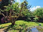 Garten - 5 Zimmer Einfamilienhaus zum Kaufen in Buchenbach