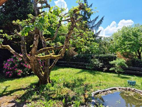 Garten - 5 Zimmer Einfamilienhaus zum Kaufen in Buchenbach
