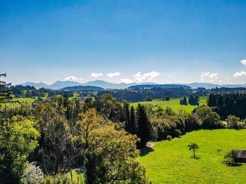 Alpenblick - 6 Zimmer Einfamilienhaus zum Kaufen in Argenbühl