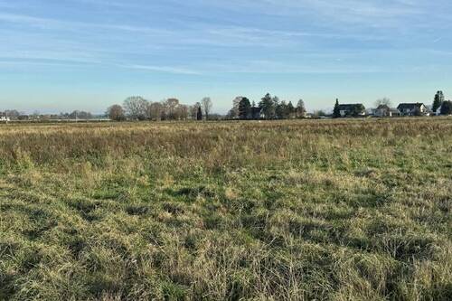 Baugebiet - Grundstück zum Kaufen in Bornheim