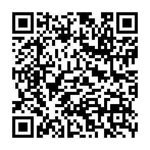 QR-Code - 