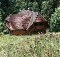 FREISTEHENDES HAUS IM SCHWARZWALD MITTEN IN DER NATUR - Mit Bach, Wiese & Wald + Gewerbepotential - Breitnau