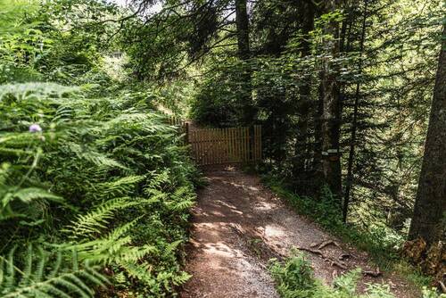 Grundstückszugang vom Wald - 