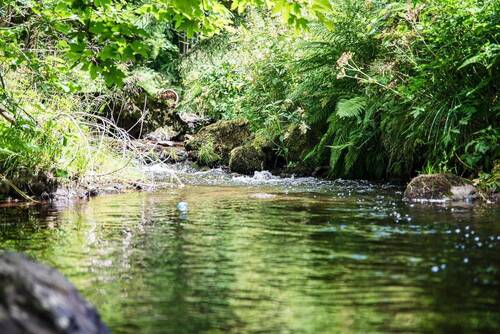 Bachlauf vor dem Haus - 