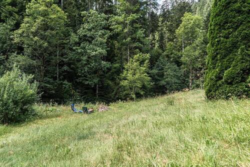 Blick auf die Wiese - 