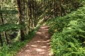 Wanderweg Ravennaschlucht - 