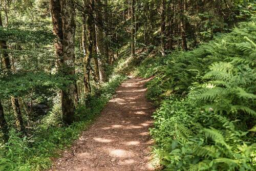 Wanderweg Ravennaschlucht - 