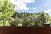 Ausblick vom Ost-Balkon - Einfamilienhaus mit 311,00 m&sup2; in Breitnau zum Kaufen