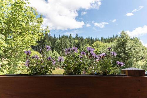 Ausblick vom Ost-Balkon - Einfamilienhaus mit 311,00 m&sup2; in Breitnau zum Kaufen