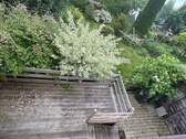 Bild 12 - 