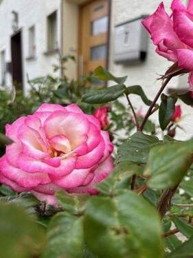Bild 14 - 