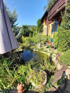 Gartenterrasse mit Teich - 9 Zimmer Einfamilienhaus in Kleines Wiesental