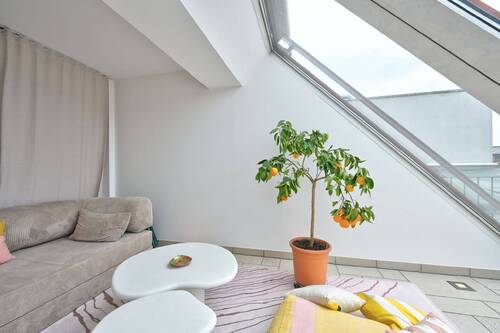Loggia-3 - 