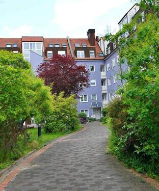 Grüner Hof / Backyard - 