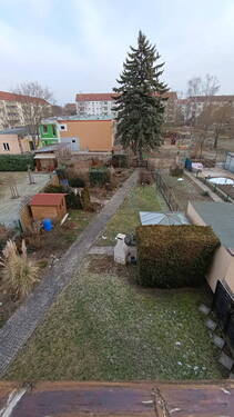 Blick in den Garten - 