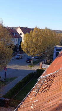 Blick zu den Weinbergen - 