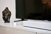 49 Zoll Smart TV & Sonos Dolby - 
