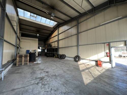 EG 113 - 