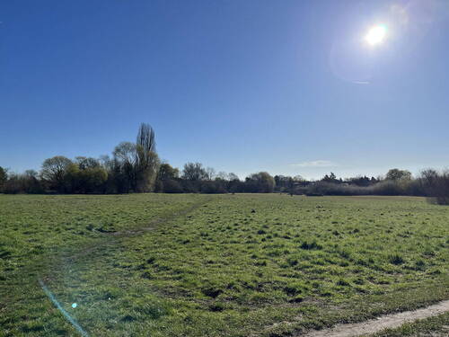 Sonnenaufgang v d Grundstück - 