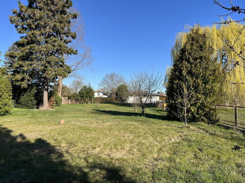 das Grundstück Richtung Westen - Grundstück zum Kaufen in Berlin