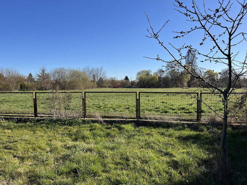 Blick zur Wiese - Grundstück in Berlin zum Kaufen