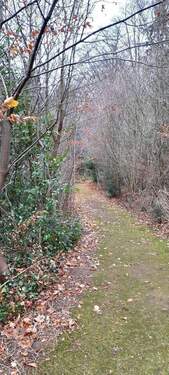 IMG-20251201-WA0017.jpg - 